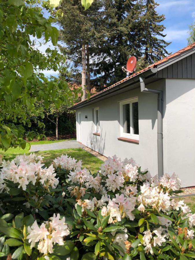 Kleine Auszeit In Salzhausen Villa Exterior photo
